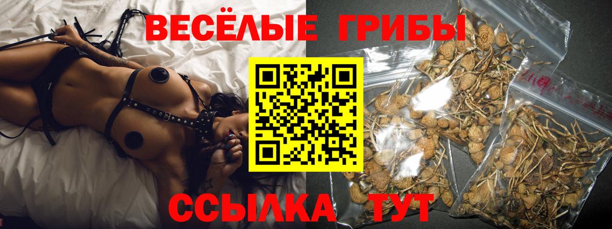 Галлюциногенные грибы прущие грибы  Вход с VPN  Щёкино 