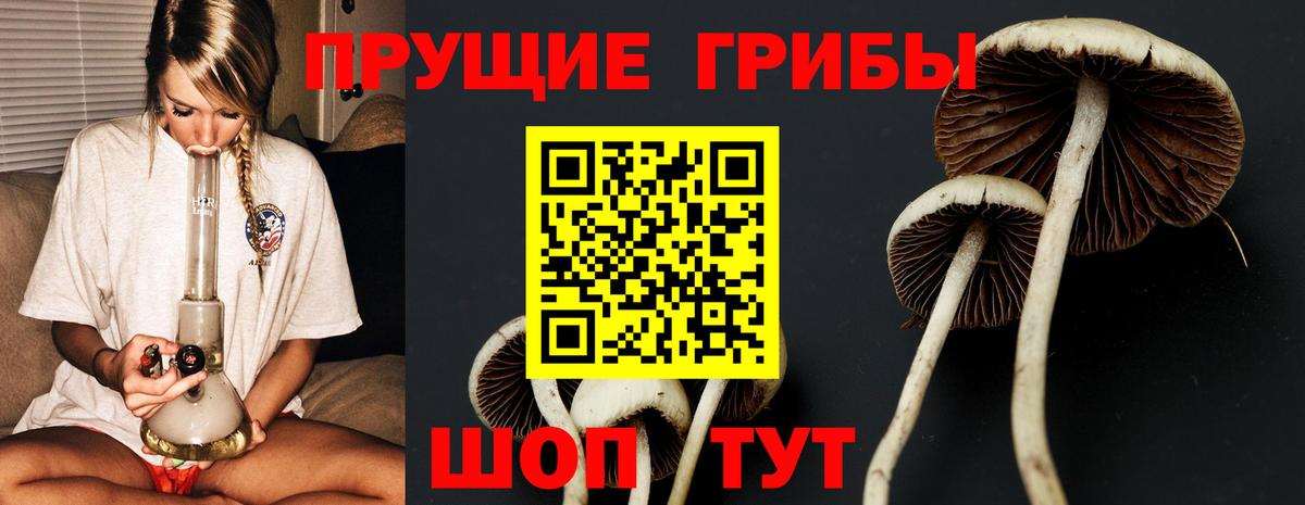 Псилоцибиновые грибы GOLDEN TEACHER Щёкино